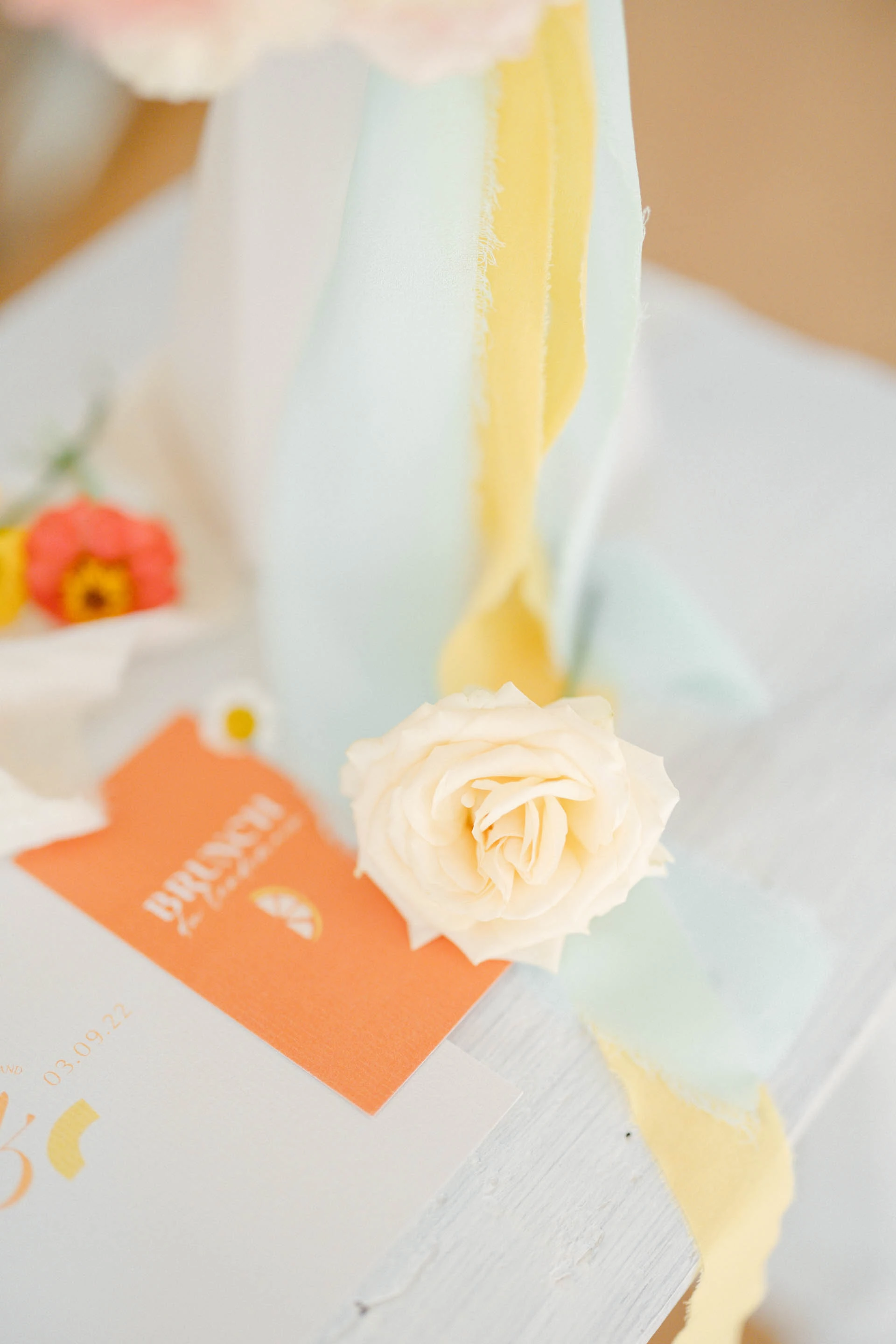 orange pétale papier rose composition florale